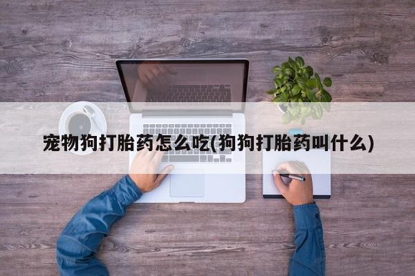 堕胎药微信宠物狗打胎药怎么吃(狗狗打胎药叫什么)