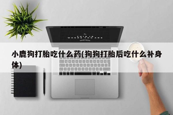 堕胎药微信小鹿狗打胎吃什么药(狗狗打胎后吃什么补身体)