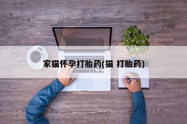 堕胎药微信家猫怀孕打胎药(猫 打胎药)